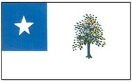 The Magnolia Flag