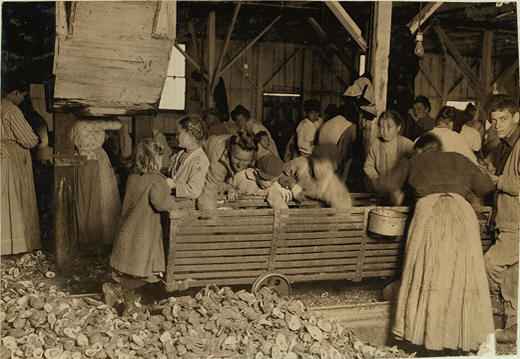 Oyster-shuckers in Barataria Canning Company in Biloxi