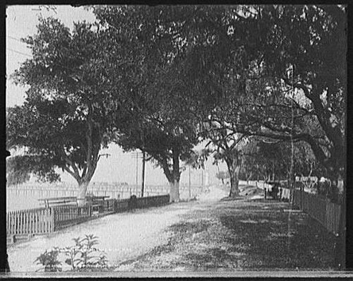 The Shell Road in Biloxi, Mississippi, circa 1901
