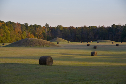 Pharr Mounds, Mississippi