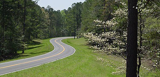 Winding road of the Natchez Trace